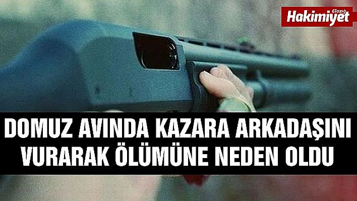 Domuz avlarken kazara arkadaşını öldürdü