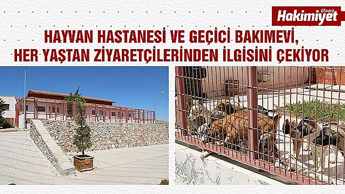 HAYVAN HASTANESİ HİZMETE DEVAM EDİYOR