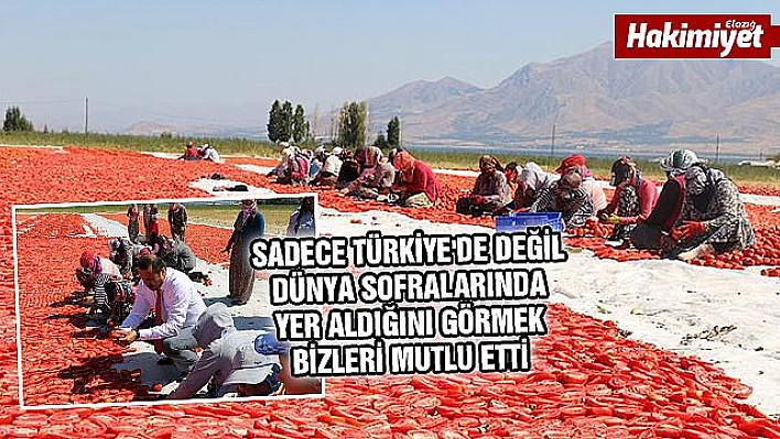 Kurutulan domatesler, dünya sofralarında yerini aldı 