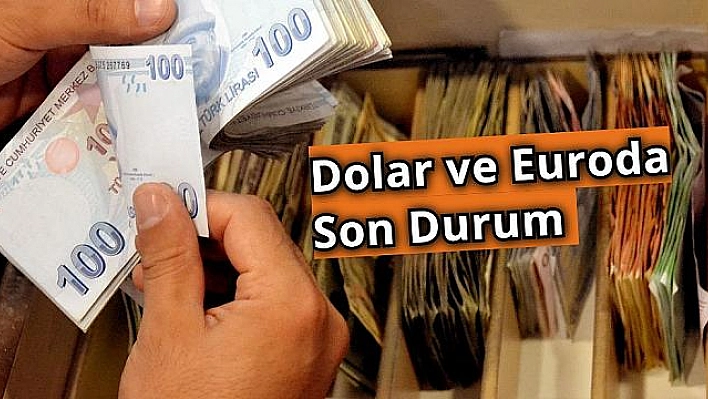 Serbest piyasada döviz fiyatları   