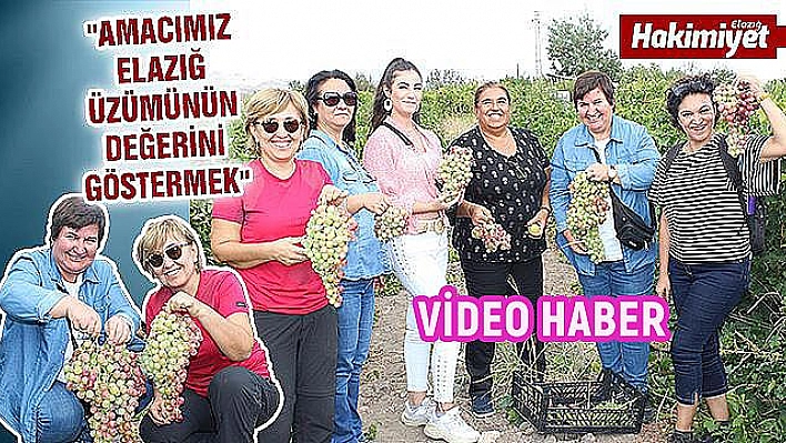 BAĞ BOZUMU TURİZMİ  HASAT İLE  BİRLİKTE BAŞLADI