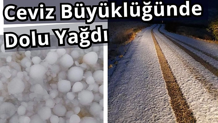 Baskil'de yerler bembeyaz oldu