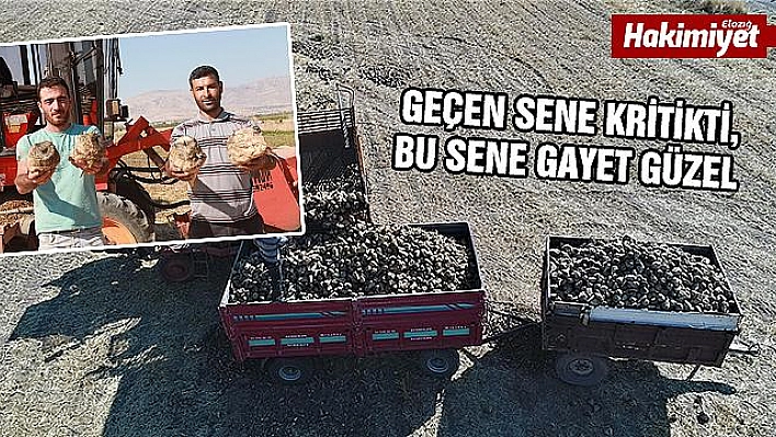 Bin 145 çiftçinin ektiği pancarda verim yüz güldürdü