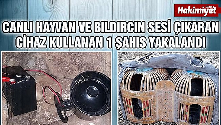 Elazığ'da usulsüz avlanan 1 şahıs yakalandı