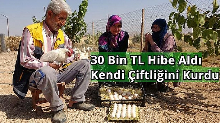 Kurduğu Tavuk Çiftliği, Geçim Kaynağı Oldu