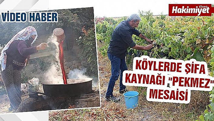 Pekmez Mesaisi Başladı