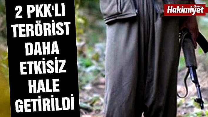 Pençe-3 Harekâtı kapsamında 2 terörist etkisiz hale getirildi