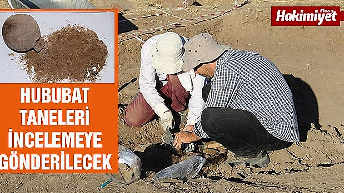 Tarihi kazılarda 'Çömlek' içinde 3 bin yıllık buğday taneleri çıktı