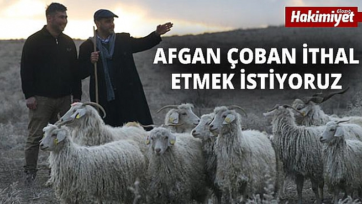 150 bin çoban ithal edeceğiz