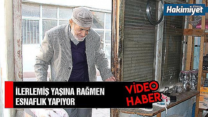 Asırlık çınar, 61 yıldır işinden geri kalmıyor