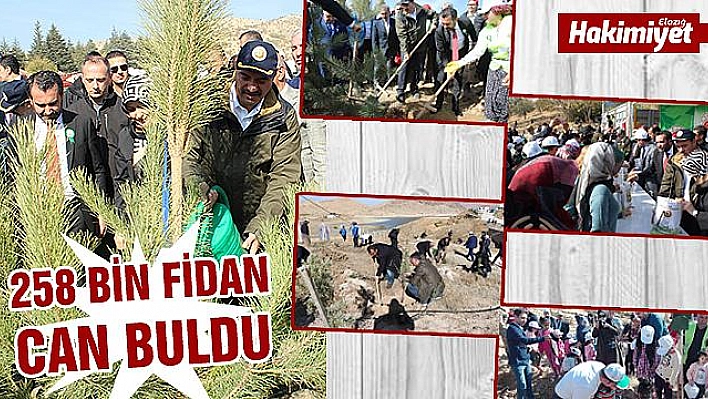 BUGÜN FİDAN YARIN VİRAN OLMASIN