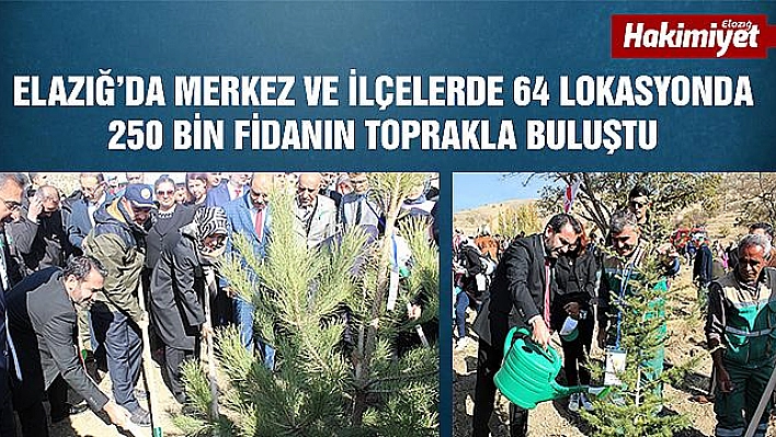 Elazığ'da 250 bin fidan toprakla buluştu