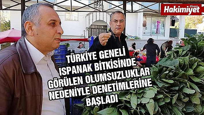 Elazığ'da ekipler Ispanak denetimlerinde bulundu