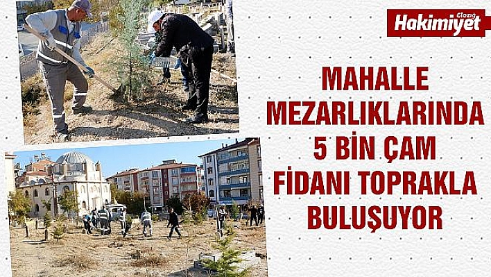 Mezarlık Alanlarında 5 Bin Fidan Toprakla Buluşuyor