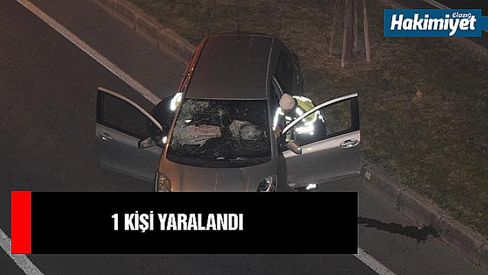 Ağaçları devirip karşı şeride geçti: 1 yaralı