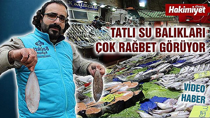 Elazığ'da deniz ile göl balığı rekabeti