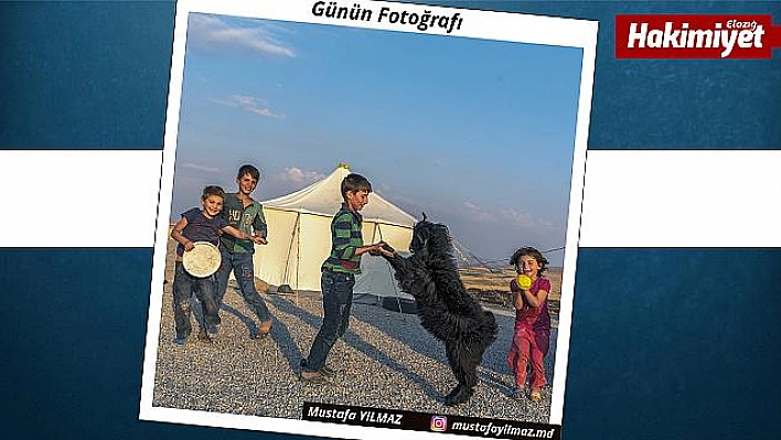 Günün Fotoğrafı