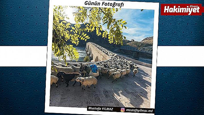 Günün Fotoğrafı