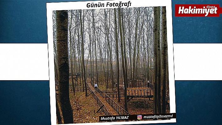 Günün Fotoğrafı