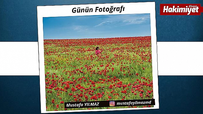 Günün fotoğrafı