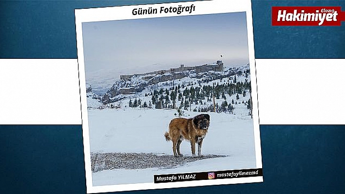 Günün fotoğrafı