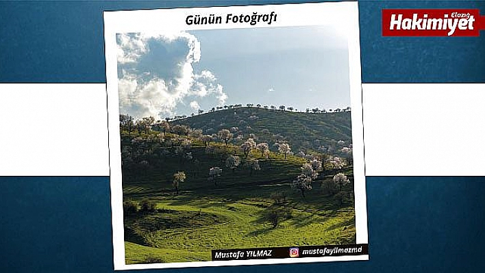 Günün fotoğrafı