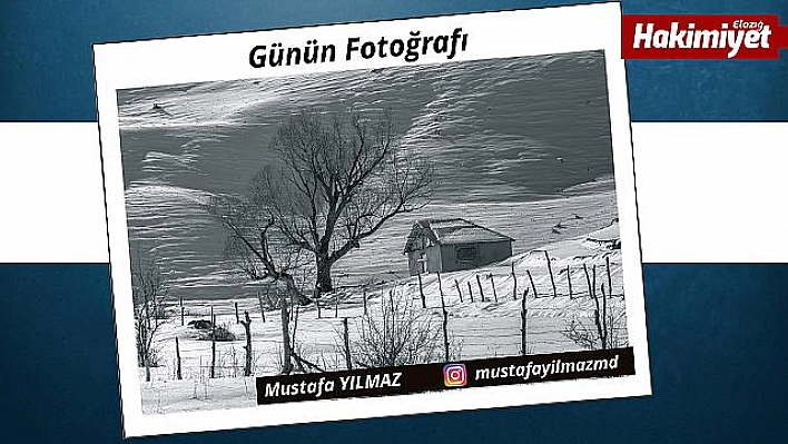 Günün Fotoğrafı