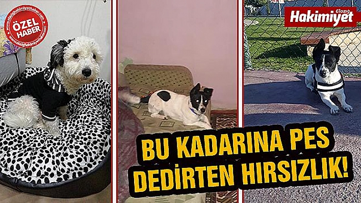  İNSAFINIZ YOK MU?