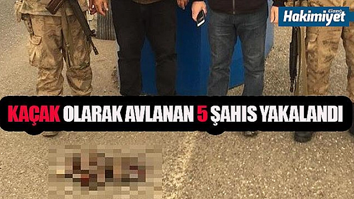 KAÇAK AVLANAN 5 ŞAHIS YAKALANDI