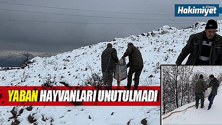 Yaban hayvanları için doğaya yem bırakıldı