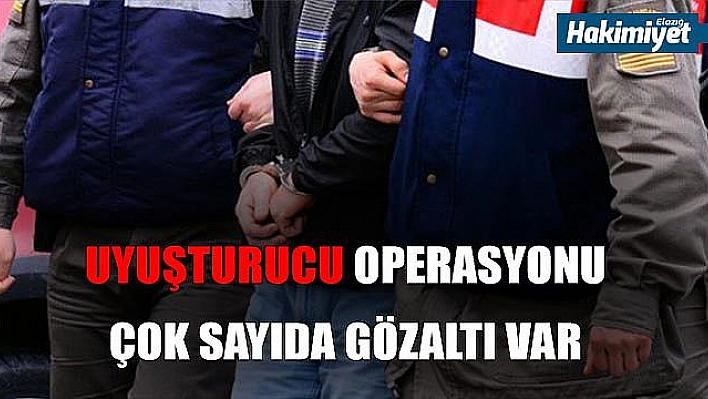 Bingöl merkezli uyuşturucu operasyonu: 10 tutuklama