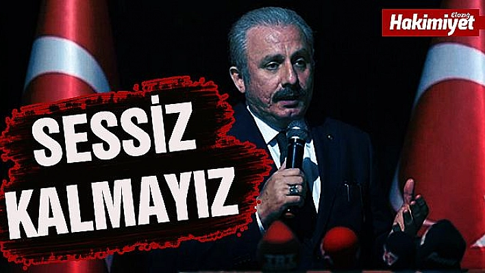  'Türkiye hiçbir saldırı ya da alçakça girişim karşısında sessiz kalacak bir devlet değildir'