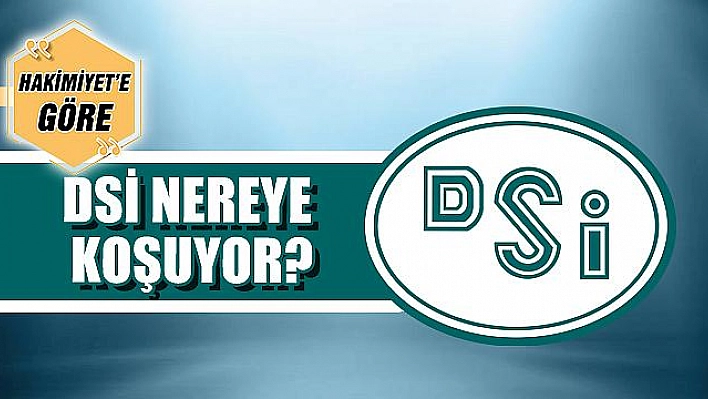 DSİ NEREYE KOŞUYOR?