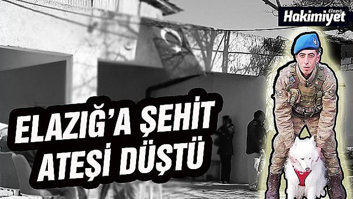 Elazığ'a şehit ateşi düştü