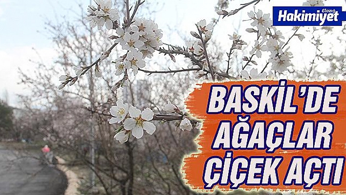 ELAZIĞ'DA AĞAÇLAR ÇİÇEK AÇTI