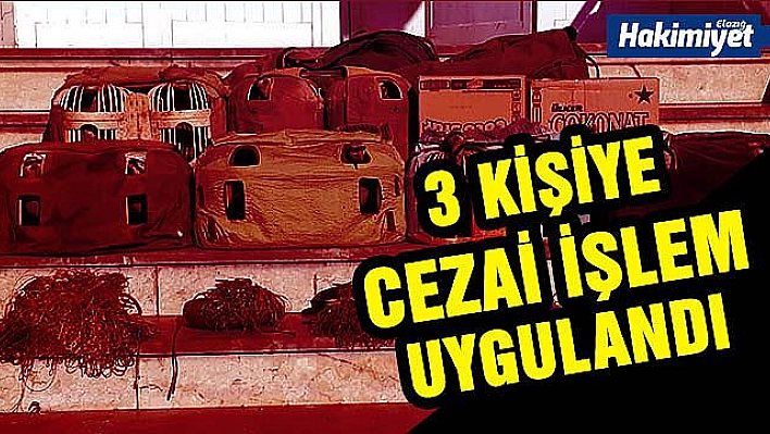 Yasadışı avda kullanılan keklikler doğaya bırakıldı