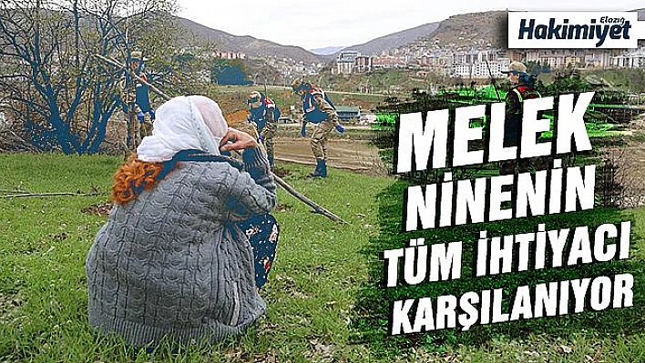 88 yaşındaki Sakine ninenin, bahçesine fidanları dikildi