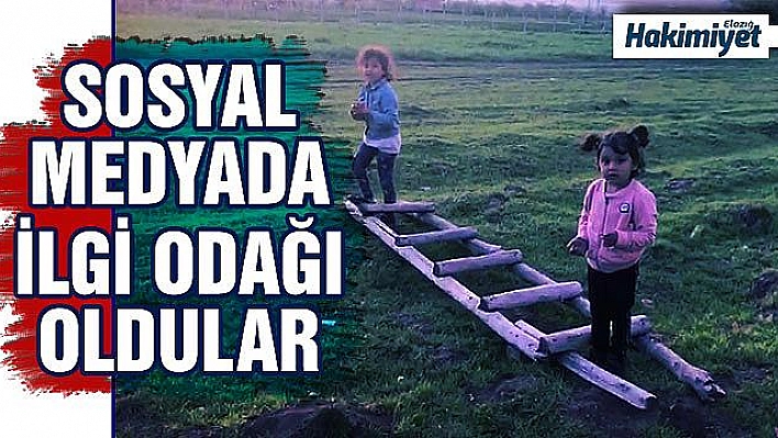 Elazığ tipi Survivor sosyal medyada ilgi odağı oldu