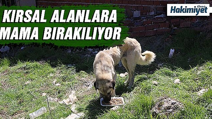 Köylerdeki sokak hayvanları unutulmadı