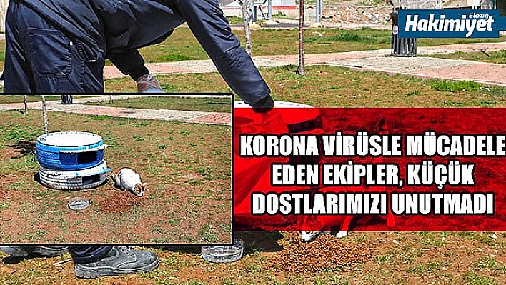 KÜÇÜK DOSTLARIMIZI UNUTMAYALIM