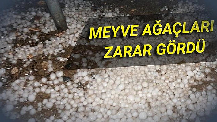 Elazığ'da misket büyüklüğündeki dolu, bahçelere zarar verdi