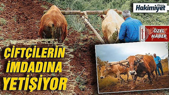 KARASABANLAR TEKNOLOJİYE MEYDAN OKUMAYA DEVAM EDİYOR