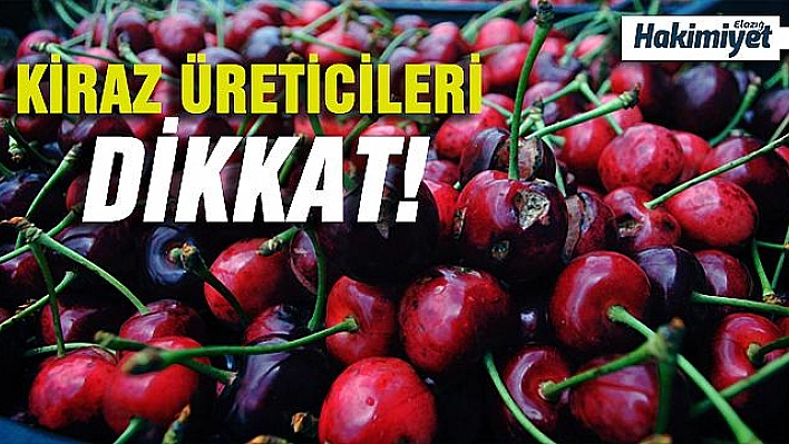 KİRAZ ÜRETİCİLERİNE UYARI