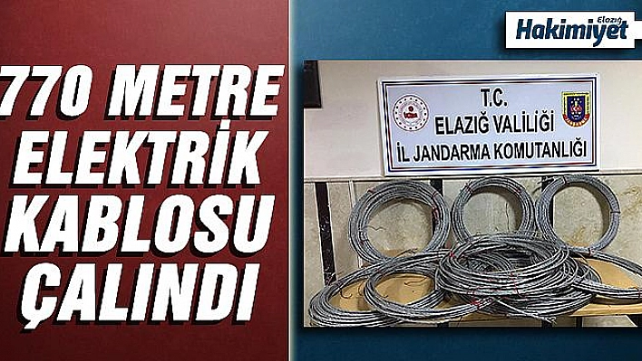 Köyün elektrik kablolarını çalan 2 şüpheli yakalandı