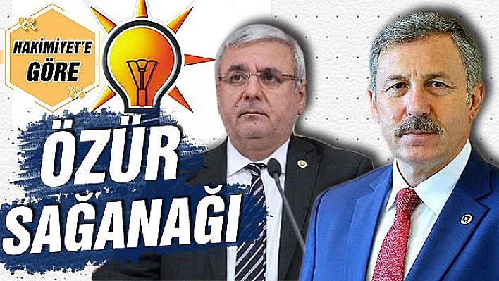 ÖZÜR SAĞANAĞI