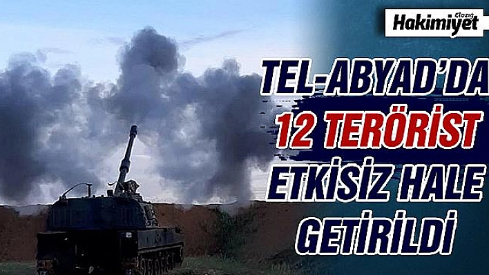 Sızma girişimindeki 12 terörist etkisiz hale getirildi