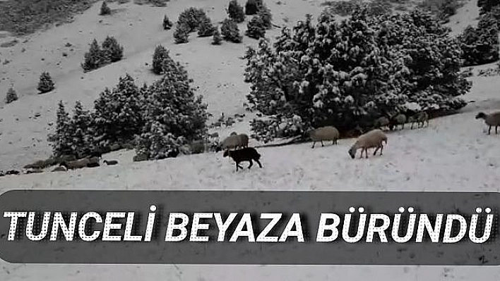 Tunceli'de kar sürprizi