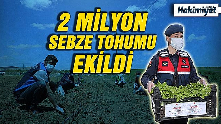 Vefalı eller, 2 milyon fideyi çiftçiye ulaştırmaya başladı