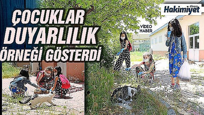 Yaşları henüz 10, sokağa çıktılar ilk işleri hayvanları beslemek oldu   