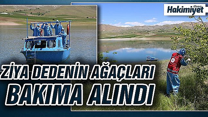 Ziya Dede'nin Adasında Vefa hizmeti